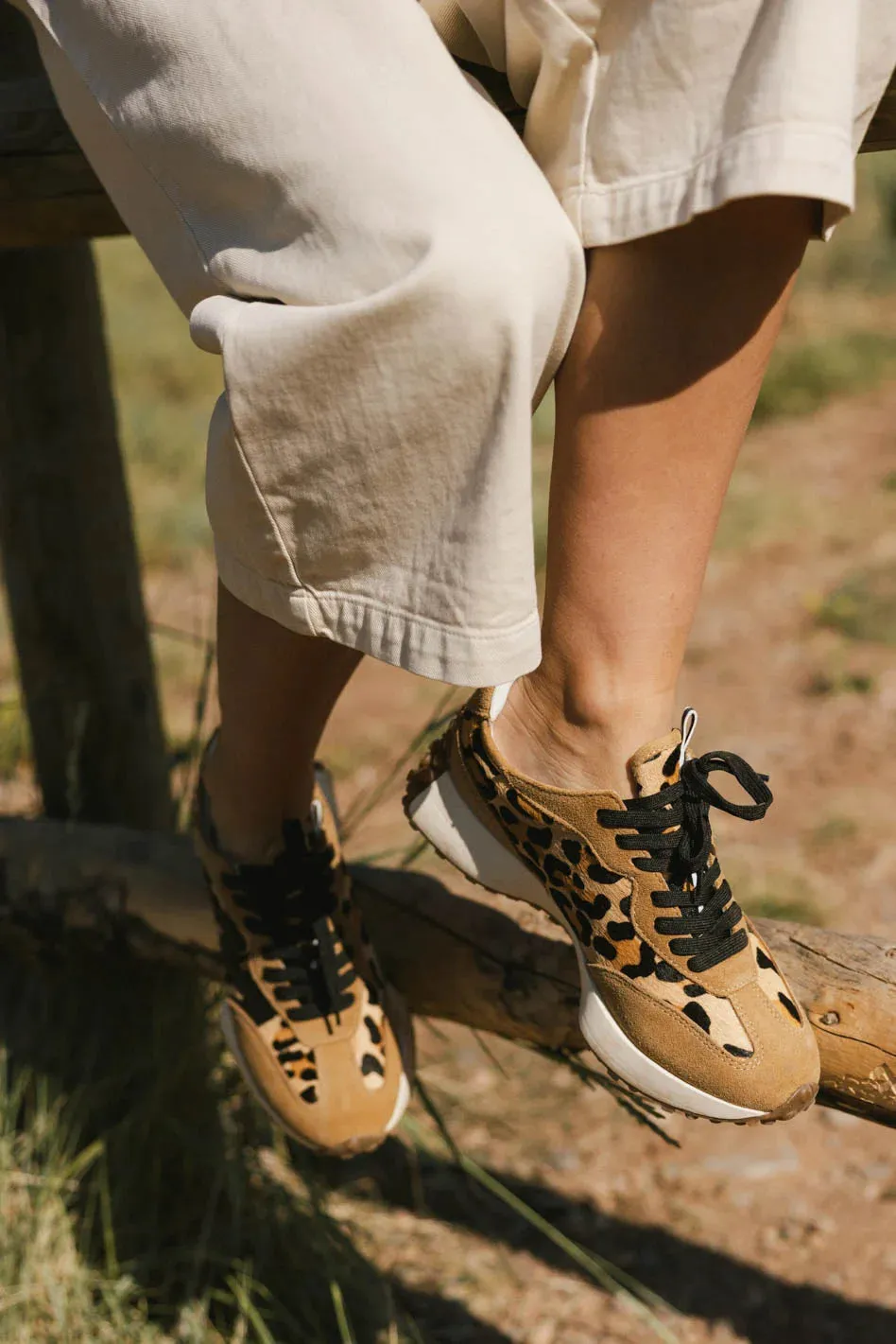 Steve Madden Campo Sneakers in Leopard